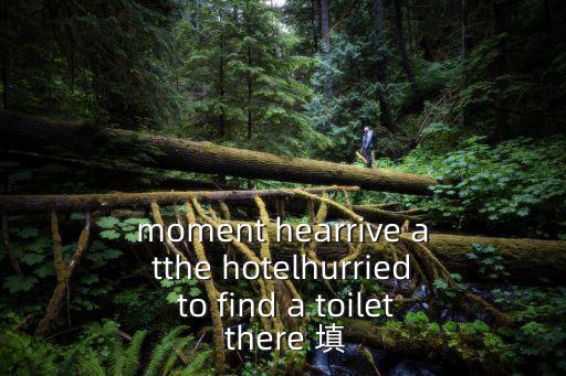moment hearrive atthe hotelhurried to find a toilet there 填
