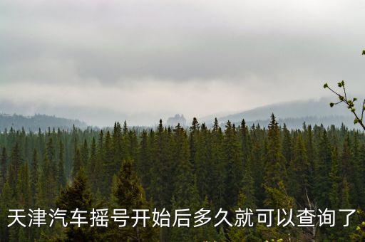 天津汽車搖號開始后多久就可以查詢了