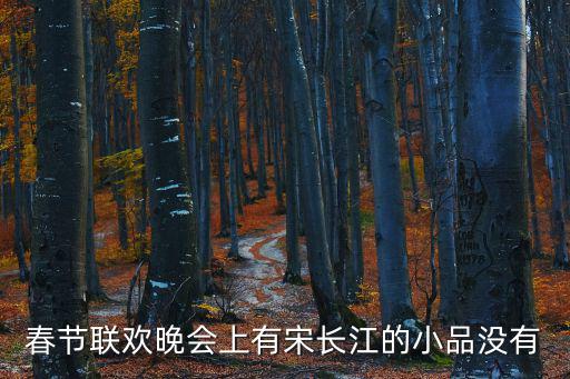 春節聯歡晚會上有宋長江的小品沒有