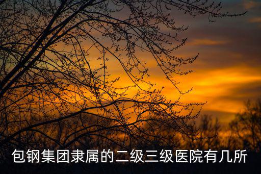 內(nèi)蒙古包鋼醫(yī)院，包鋼集團隸屬的二級三級醫(yī)院有幾所