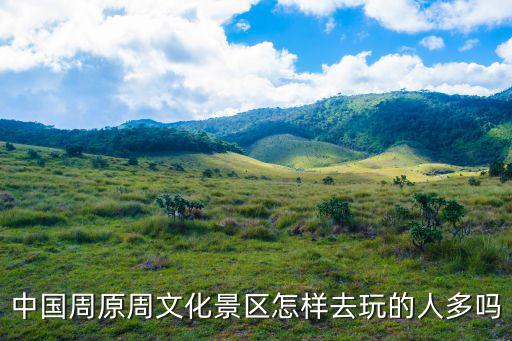 周原景區，從寶雞高鐵站怎么坐車去周原景區最直接最簡單的路程