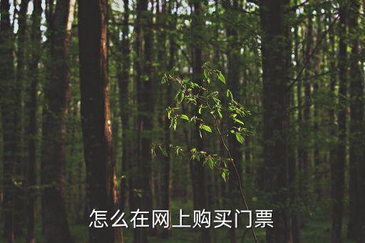 怎么在網上購買門票