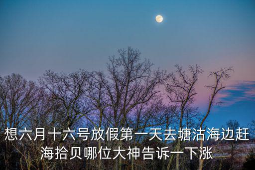 想六月十六號放假第一天去塘沽海邊趕海拾貝哪位大神告訴一下漲