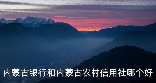 內蒙古銀行和內蒙古農村信用社哪個好