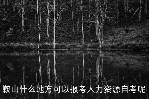 鞍山什么地方可以報考人力資源自考呢