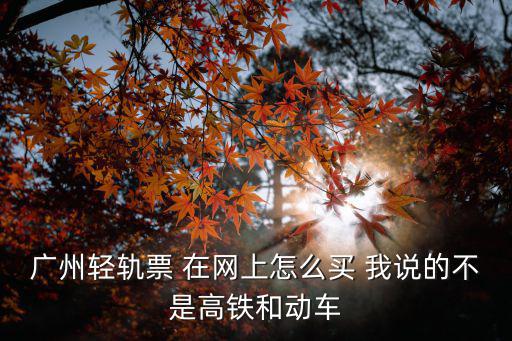 輕軌網(wǎng)上訂票，廣州南輕軌票怎么網(wǎng)上定票