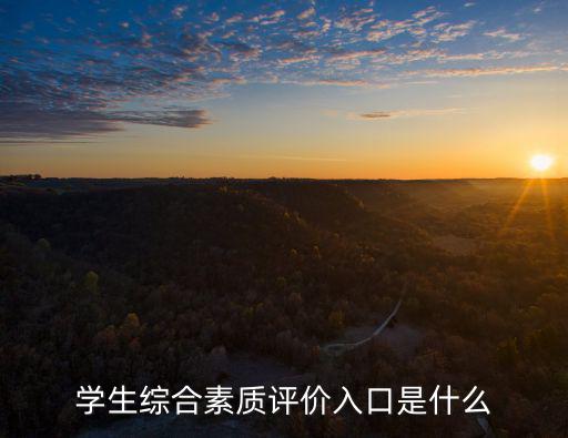 學(xué)生綜合素質(zhì)評價入口是什么