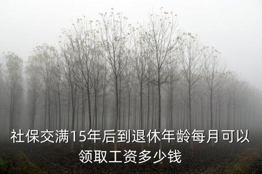 社保交滿15年后到退休年齡每月可以領取工資多少錢