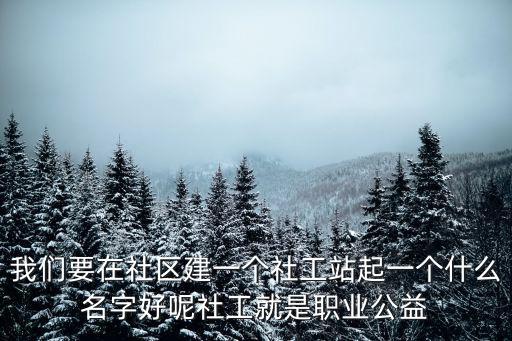 我們要在社區(qū)建一個社工站起一個什么名字好呢社工就是職業(yè)公益