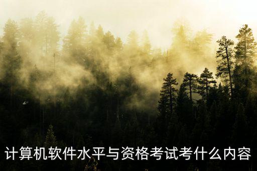 計算機軟件水平與資格考試考什么內容