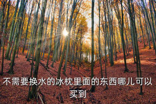 冰墩墩在哪里可以買到，冰塊在哪里有賣