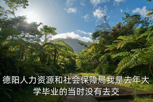 德陽人力資源和社會保障局我是去年大學畢業的當時沒有去交