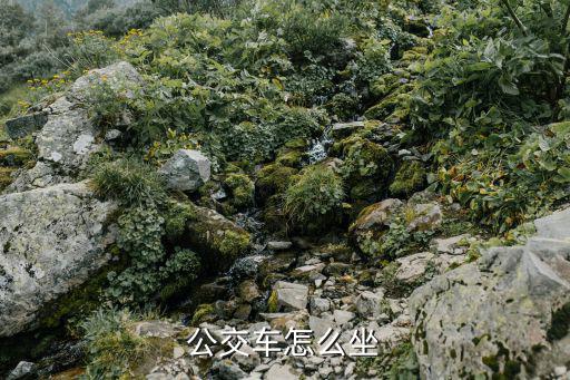 公交車怎么坐
