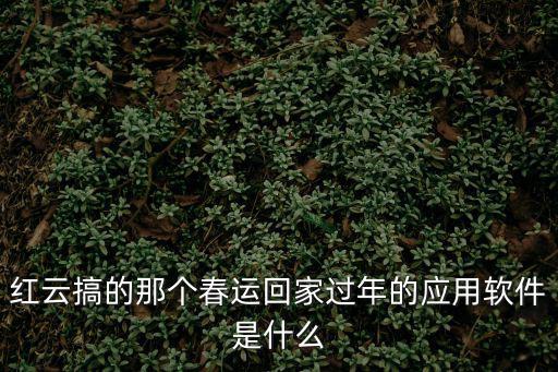 紅云搞的那個春運回家過年的應用軟件是什么
