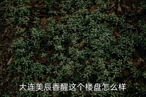 美辰香醒，大連美辰香醒二期推出的樓