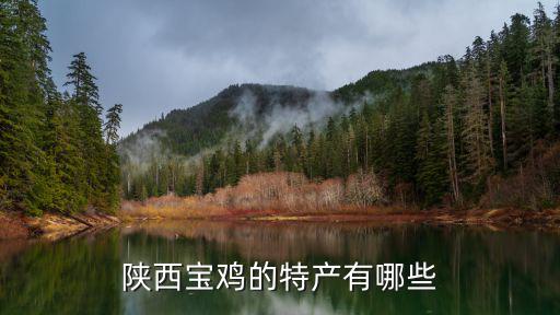 陜西寶雞的特產有哪些