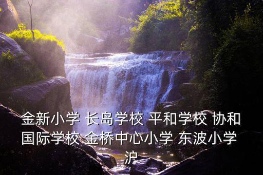 金新小學 長島學校 平和學校 協和國際學校 金橋中心小學 東波小學 滬