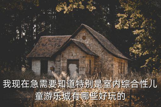 我現(xiàn)在急需要知道特別是室內(nèi)綜合性兒童游樂城有哪些好玩的