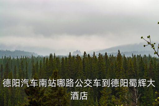 德陽汽車南站，求急有誰知道這個德陽汽車站是北站還是南站嗎
