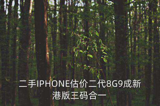 二手IPHONE估價(jià)二代8G9成新港版三碼合一