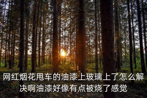 網紅煙花甩車的油漆上玻璃上了怎么解決啊油漆好像有點被燒了感覺
