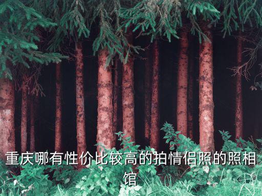 重慶哪有性價(jià)比較高的拍情侶照的照相館