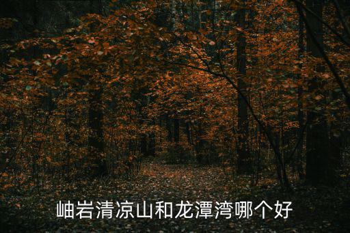 岫巖清涼山和龍?zhí)稙衬膫€(gè)好