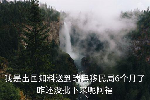我是出國(guó)知料送到瑞典移民局6個(gè)月了咋還沒批下來呢阿福