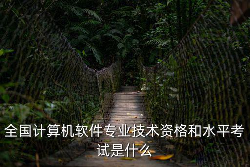 計算機技術與軟件專業技術資格考試，計算機技術與軟件專業技術資格考試好考嗎