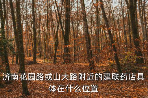 濟南花園路或山大路附近的建聯藥店具體在什么位置