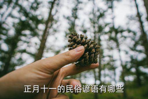 正月十一的民俗諺語有哪些