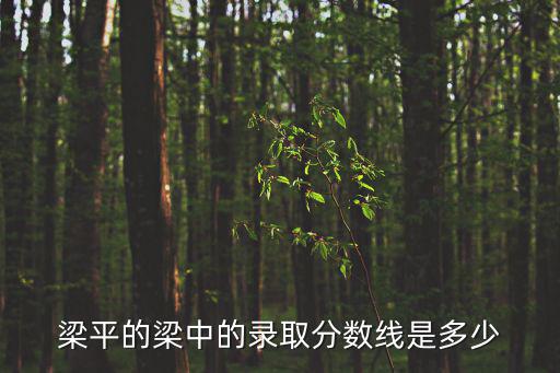 梁平的梁中的錄取分?jǐn)?shù)線是多少