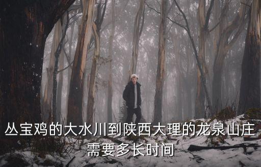 叢寶雞的大水川到陜西大理的龍泉山莊需要多長時間