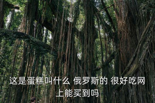 這是蛋糕叫什么 俄羅斯的 很好吃網上能買到嗎
