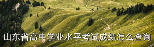 山東省高中學業水平考試成績怎么查詢