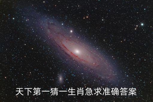 天下第一猜一生肖急求準確答案