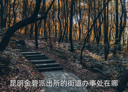昆明金碧派出所的街道辦事處在哪