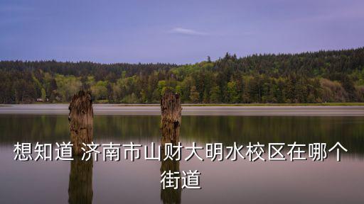 想知道 濟(jì)南市山財(cái)大明水校區(qū)在哪個(gè)街道