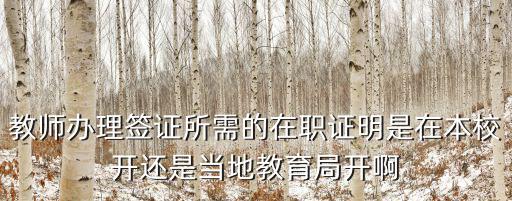 教師辦理簽證所需的在職證明是在本校開還是當地教育局開啊