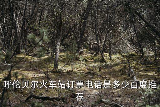呼倫貝爾火車站訂票電話是多少百度推薦