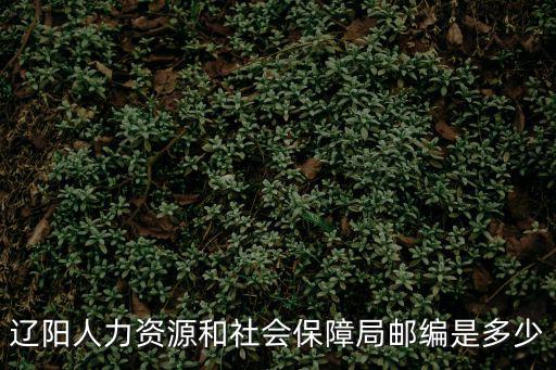 遼陽人力資源和社會保障局郵編是多少