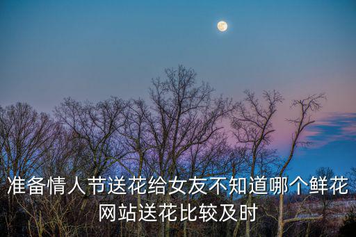 準備情人節送花給女友不知道哪個鮮花網站送花比較及時