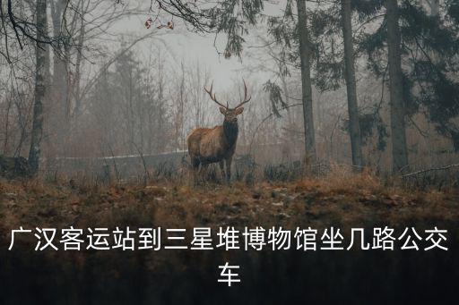 廣漢三星堆博物館，廣漢客運(yùn)站到三星堆博物館坐幾路公交車