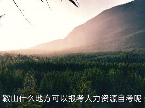 鞍山人力資源，鞍山什么地方可以報考人力資源自考呢