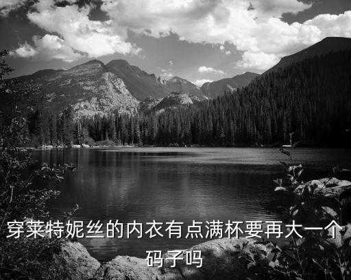 萊特妮絲內(nèi)衣，萊特妮絲內(nèi)衣好嗎好貴哦