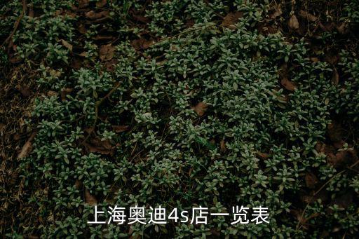 上海奧迪4s店一覽表