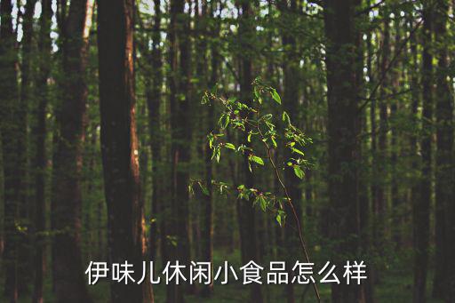 伊味兒休閑小食品怎么樣