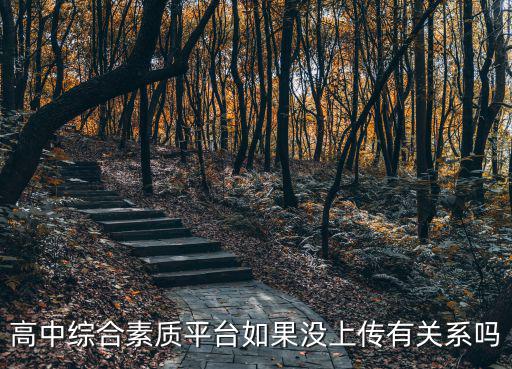 高中綜合素質平臺如果沒上傳有關系嗎