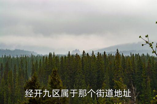 經開九區屬于那個街道地址