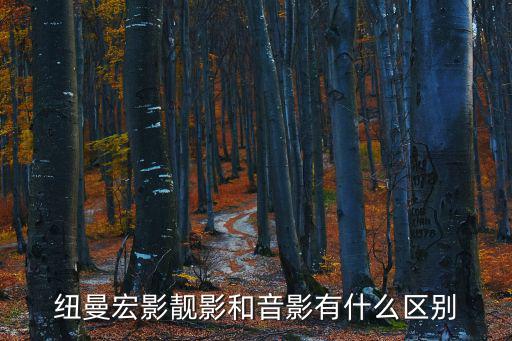 音影，推薦一款音影播放器